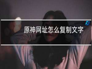 原神网址怎么复制文字