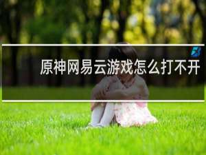 原神网易云游戏怎么打不开