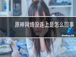 原神网络没连上是怎么回事