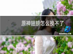 原神翅膀怎么换不了