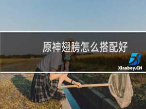 原神翅膀怎么搭配好
