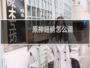 原神翅膀怎么调