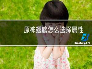 原神翅膀怎么选择属性