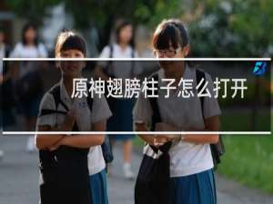 原神翅膀柱子怎么打开