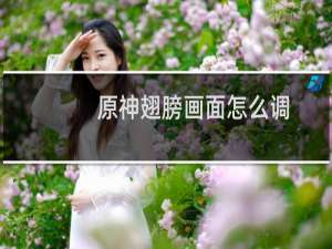 原神翅膀画面怎么调