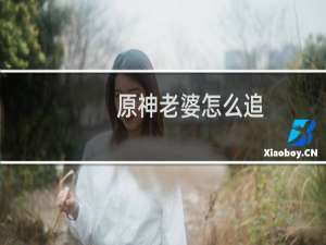 原神老婆怎么追