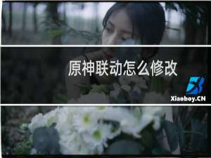 原神联动怎么修改