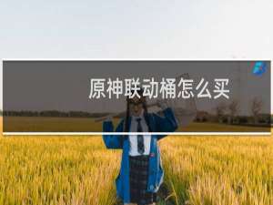 原神联动桶怎么买