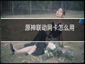 原神联动网卡怎么用