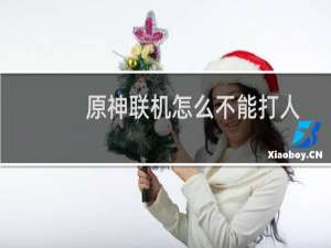 原神联机怎么不能打人