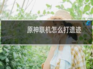 原神联机怎么打遗迹