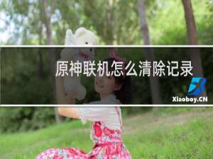 原神联机怎么清除记录