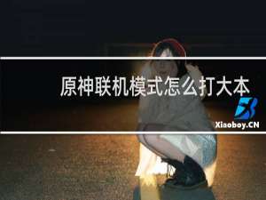原神联机模式怎么打大本