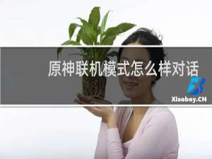 原神联机模式怎么样对话