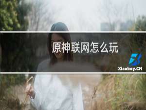 原神联网怎么玩