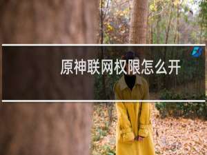 原神联网权限怎么开