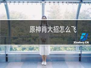 原神肖大招怎么飞