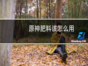 原神肥料该怎么用