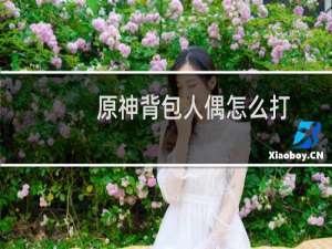 原神背包人偶怎么打