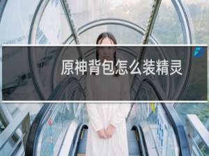 原神背包怎么装精灵