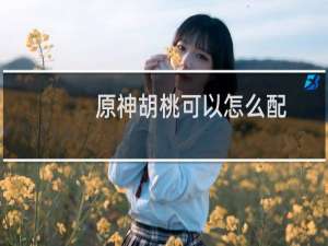 原神胡桃可以怎么配