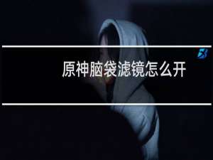 原神脑袋滤镜怎么开