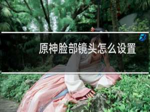 原神脸部镜头怎么设置
