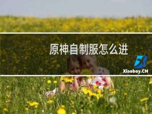 原神自制服怎么进