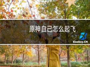 原神自己怎么起飞