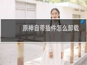 原神自带插件怎么卸载