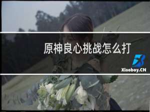 原神良心挑战怎么打