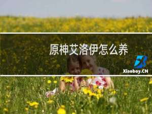 原神艾洛伊怎么养