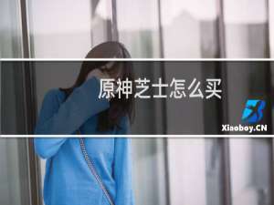 原神芝士怎么买