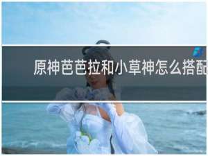 原神芭芭拉和小草神怎么搭配