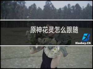 原神花灵怎么跟随