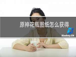 原神花瓶图纸怎么获得