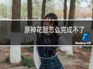 原神花题怎么完成不了