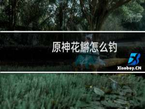 原神花鱂怎么钓