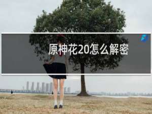 原神花 怎么解密