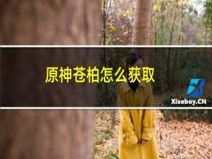 原神苍柏怎么获取