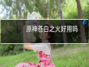 原神苍白之火好用吗 圣物实用度评测分享