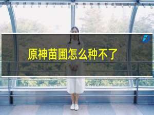原神苗圃怎么种不了