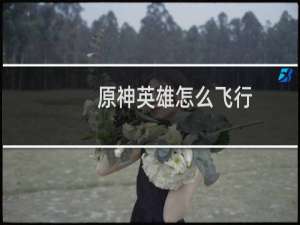 原神英雄怎么飞行