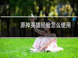 原神英雄经验怎么使用