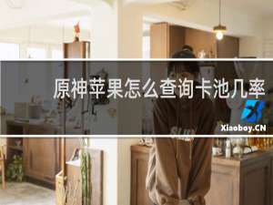 原神苹果怎么查询卡池几率