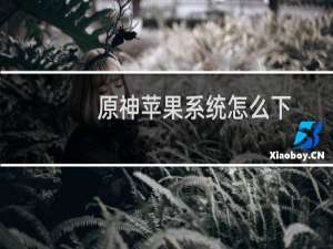 原神苹果系统怎么下