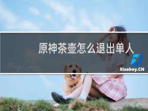 原神茶壶怎么退出单人