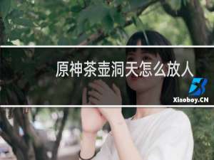 原神茶壶洞天怎么放人
