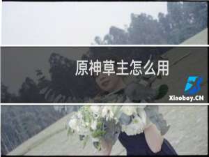 原神草主怎么用