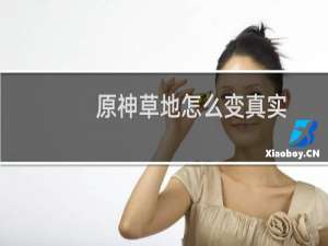 原神草地怎么变真实